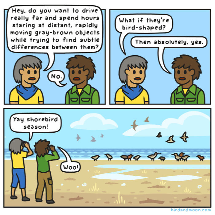 34 Witty Comics By Rosemary Mosco That Show Why Nature Is Funnier Than You Think (New Pics)