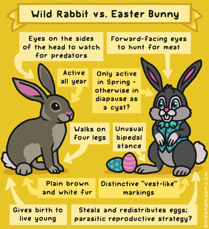 34 Witty Comics By Rosemary Mosco That Show Why Nature Is Funnier Than You Think (New Pics)