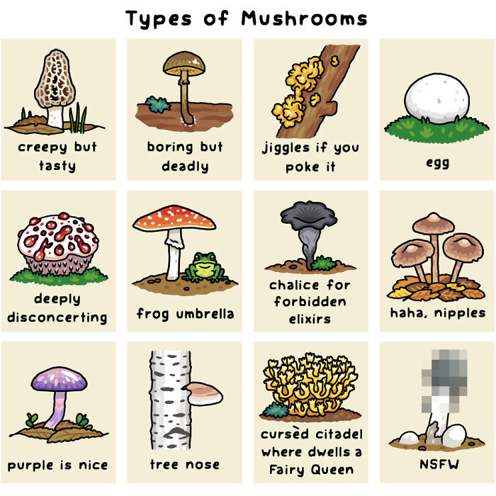 34 Witty Comics By Rosemary Mosco That Show Why Nature Is Funnier Than You Think (New Pics)