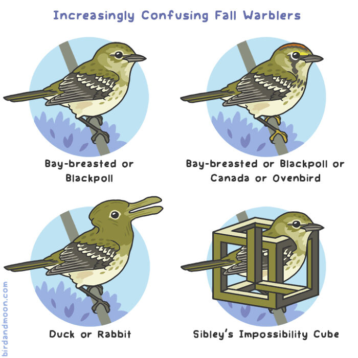 34 Witty Comics By Rosemary Mosco That Show Why Nature Is Funnier Than You Think (New Pics)