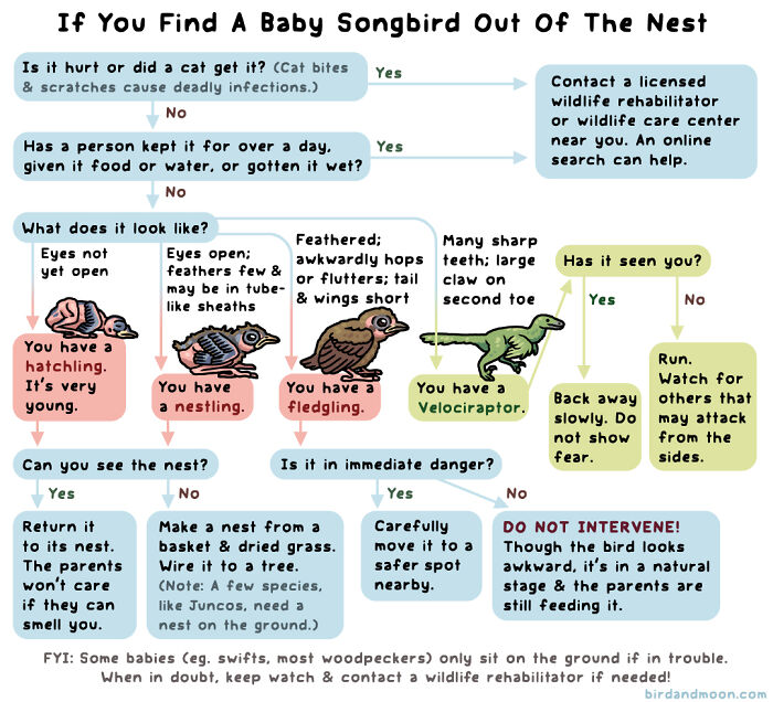 34 Witty Comics By Rosemary Mosco That Show Why Nature Is Funnier Than You Think (New Pics)
