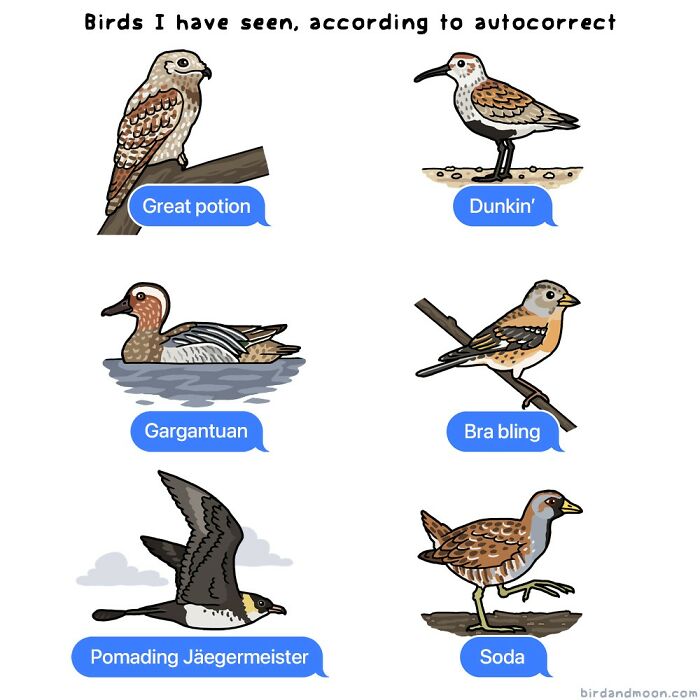 34 Witty Comics By Rosemary Mosco That Show Why Nature Is Funnier Than You Think (New Pics)