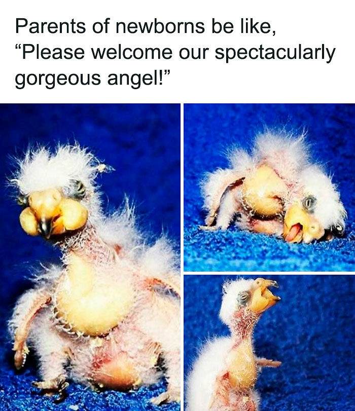 Laugh Away The Fatigue Of Parenting With These 95 Memes For Parents