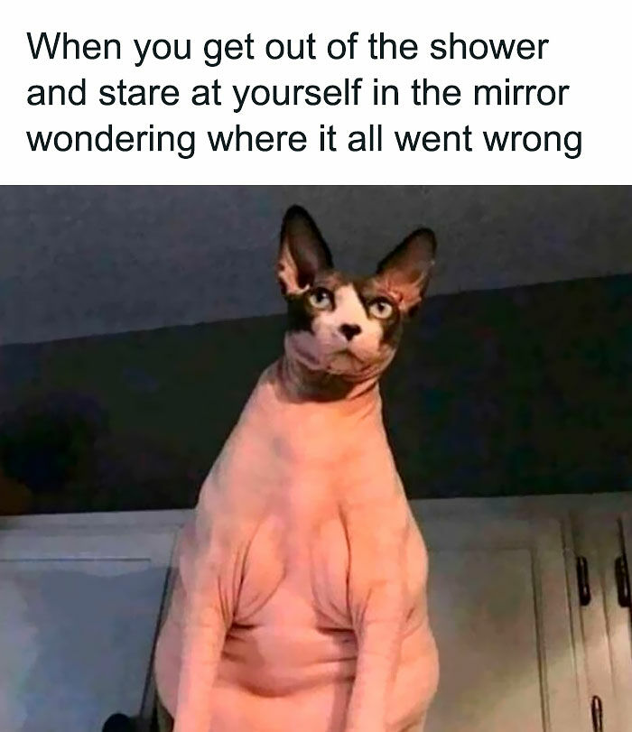 Laugh Away The Fatigue Of Parenting With These 95 Memes For Parents
