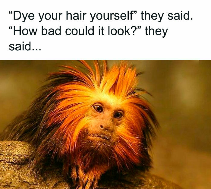 Laugh Away The Fatigue Of Parenting With These 95 Memes For Parents