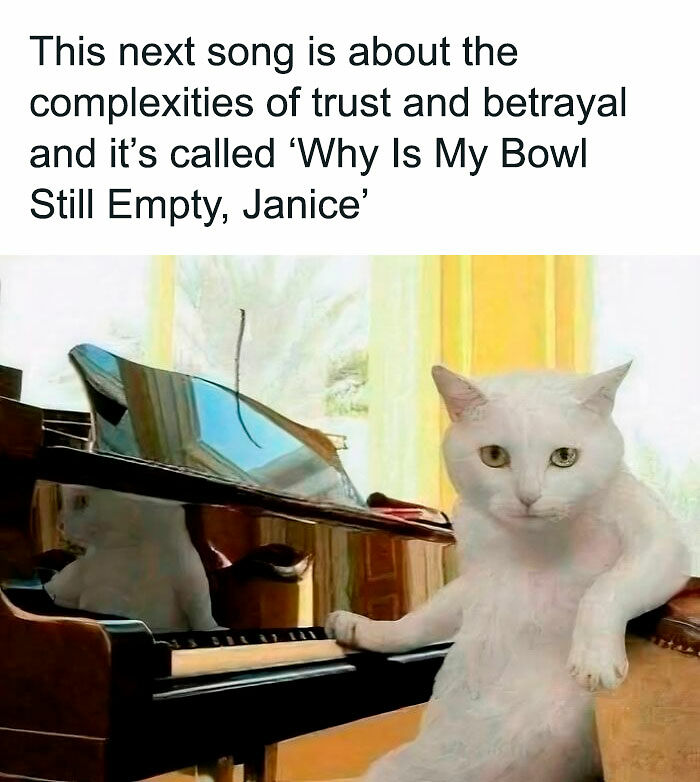80 Memes That Blend Internet’s Most Favorite Things — Humor And Cats (New Pics)