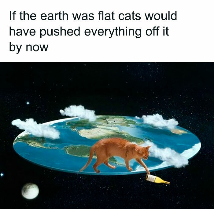 80 Memes That Blend Internet’s Most Favorite Things — Humor And Cats (New Pics)