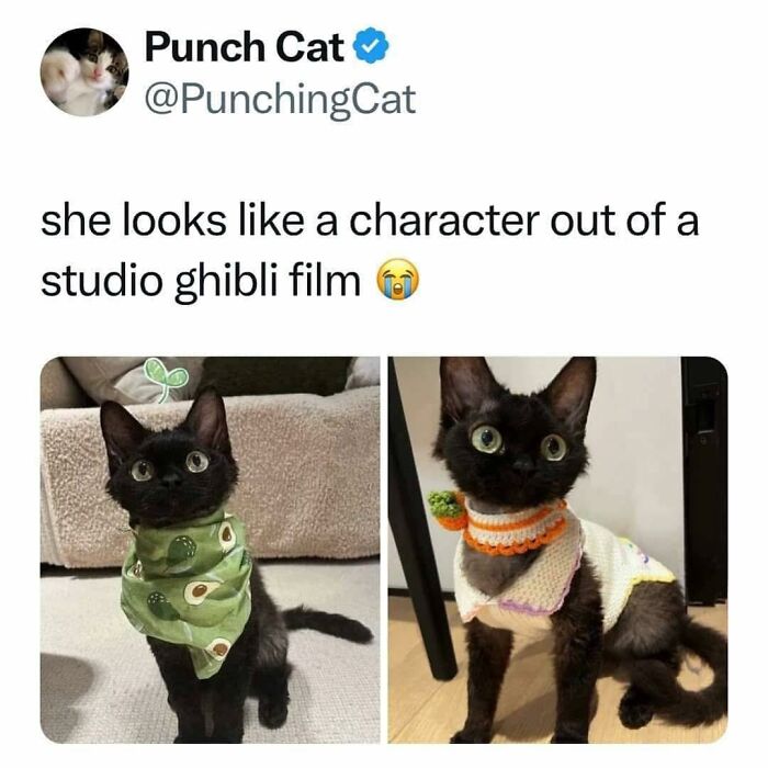 80 Memes That Blend Internet’s Most Favorite Things — Humor And Cats (New Pics)