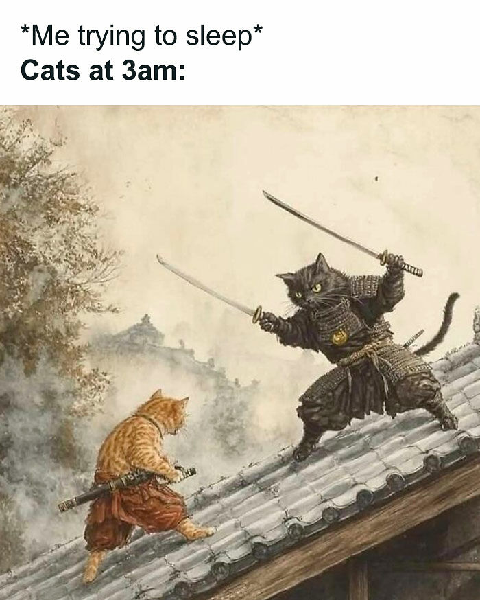 80 Memes That Blend Internet’s Most Favorite Things — Humor And Cats (New Pics)