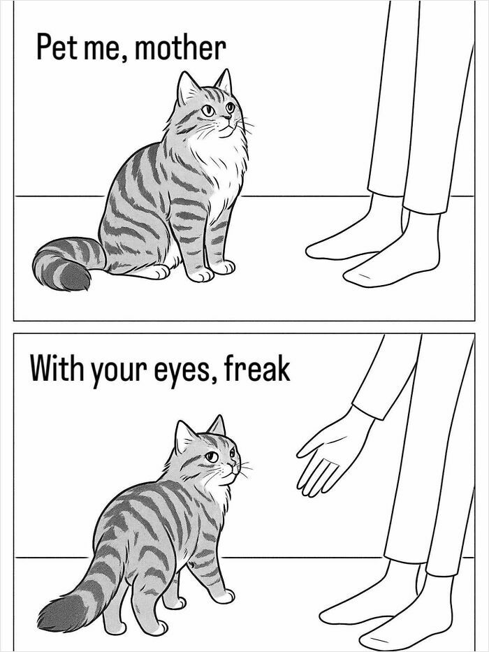 80 Memes That Blend Internet’s Most Favorite Things — Humor And Cats (New Pics)