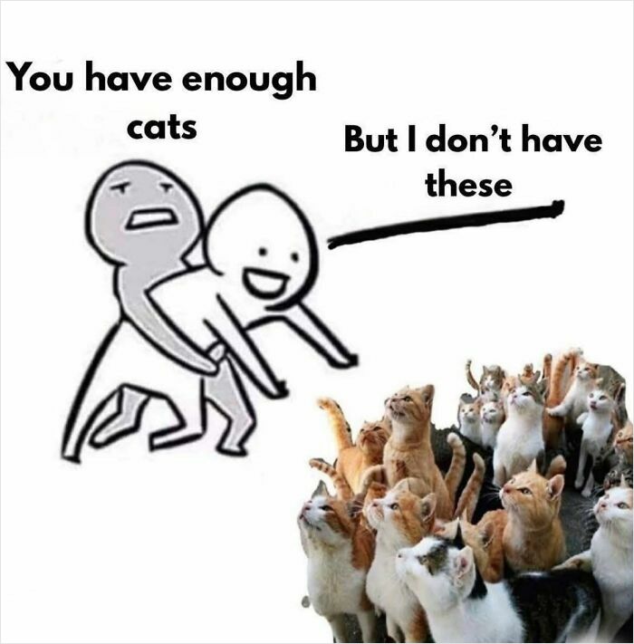 80 Memes That Blend Internet’s Most Favorite Things — Humor And Cats (New Pics)