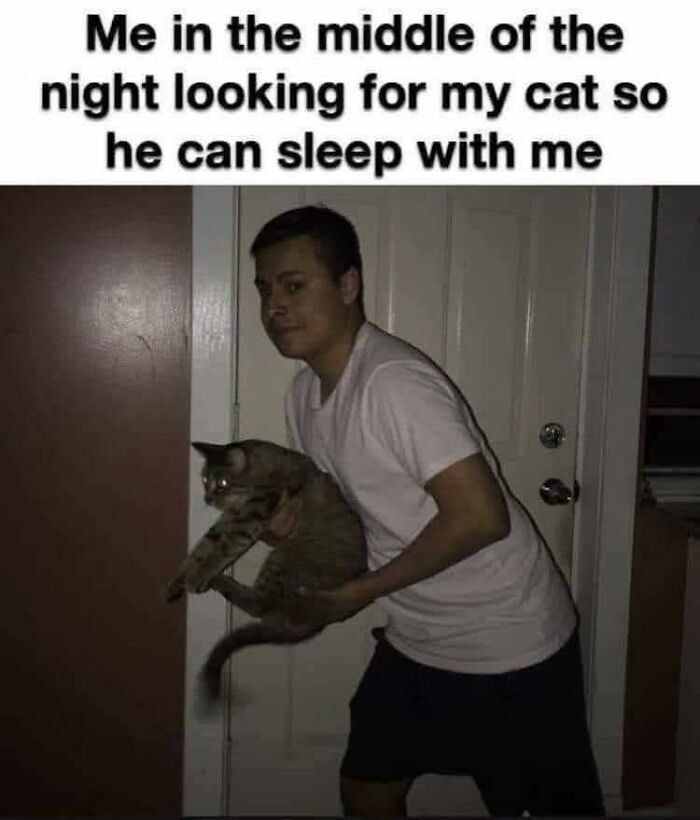 80 Memes That Blend Internet’s Most Favorite Things — Humor And Cats (New Pics)
