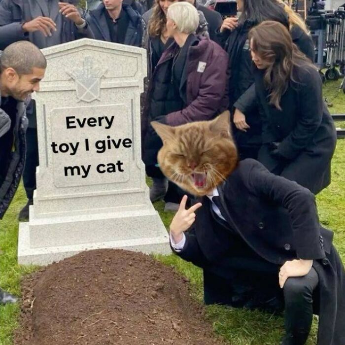 80 Memes That Blend Internet’s Most Favorite Things — Humor And Cats (New Pics)