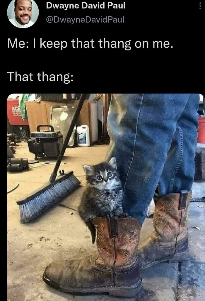 80 Memes That Blend Internet’s Most Favorite Things — Humor And Cats (New Pics)