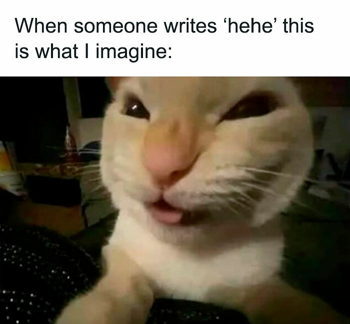 80 Memes That Blend Internet’s Most Favorite Things — Humor And Cats (New Pics)