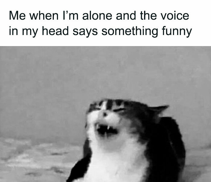 80 Memes That Blend Internet’s Most Favorite Things — Humor And Cats (New Pics)