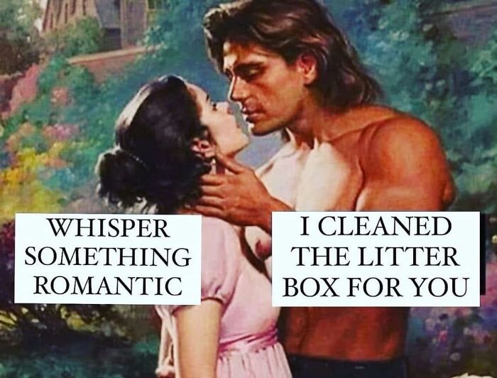 80 Memes That Blend Internet’s Most Favorite Things — Humor And Cats (New Pics)
