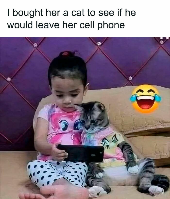 80 Memes That Blend Internet’s Most Favorite Things — Humor And Cats (New Pics)
