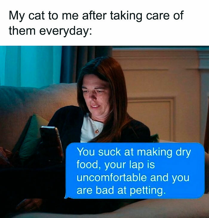 80 Memes That Blend Internet’s Most Favorite Things — Humor And Cats (New Pics)