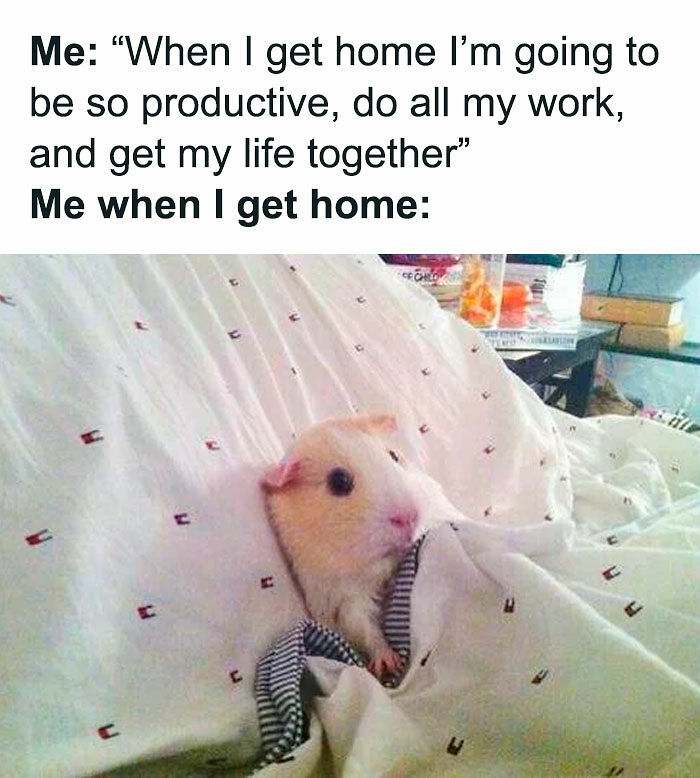 These 80 Funny Posts Accurately Voice The Thoughts And Feelings Of All Women
