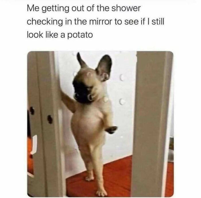 These 80 Funny Posts Accurately Voice The Thoughts And Feelings Of All Women