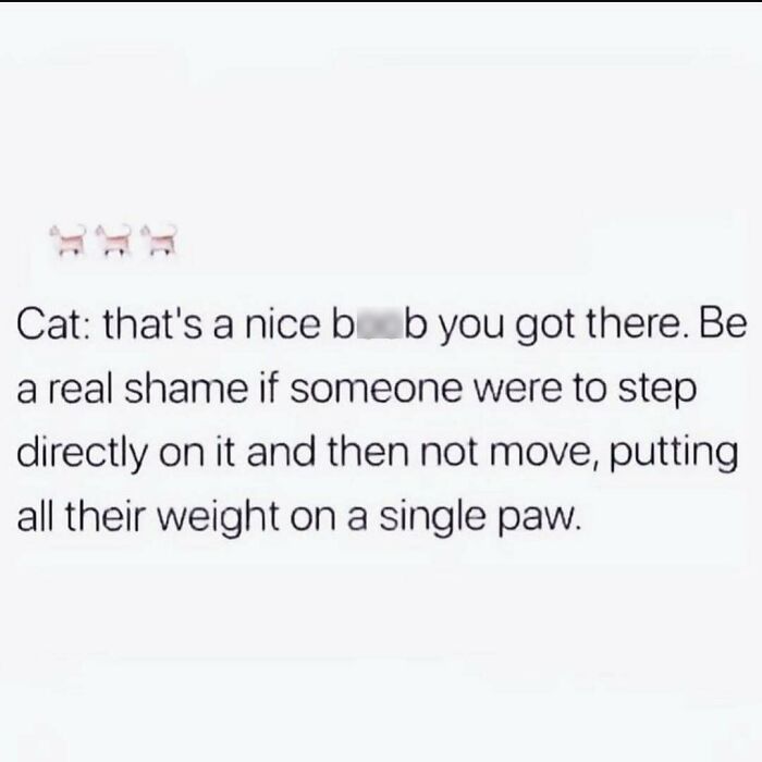 These 80 Funny Posts Accurately Voice The Thoughts And Feelings Of All Women