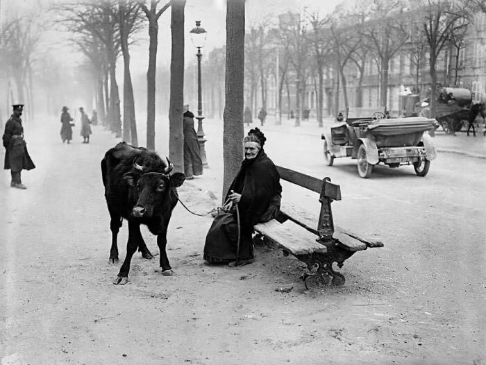 87 Old Photos That Show People’s Lives From A Different Time