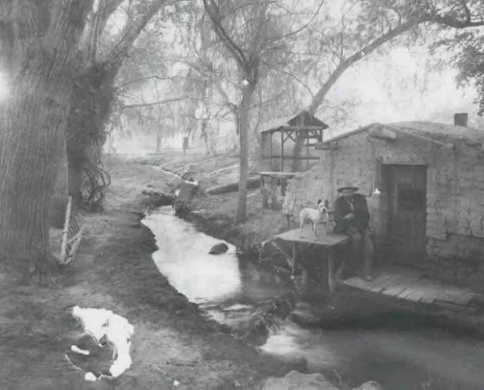 87 Old Photos That Show People’s Lives From A Different Time