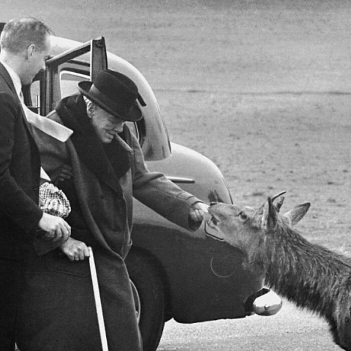87 Old Photos That Show People’s Lives From A Different Time