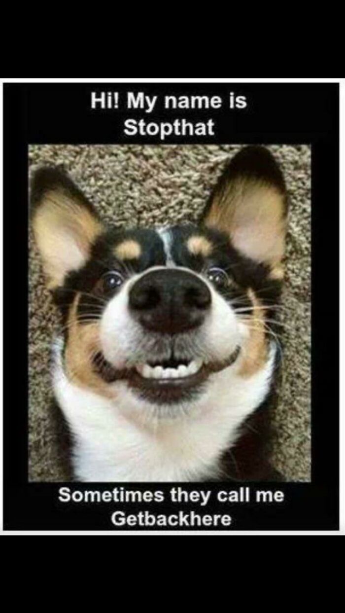 92 Posts So Cringe-Worthy But Wholesome At The Same Time