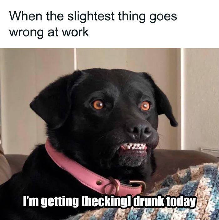 75 Spot-On Memes That Accurately Sum Up Millennial Struggles At Work (New Pics)