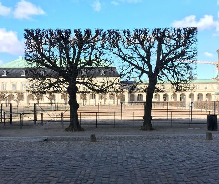 “A Danish Prison Cell”: 104 Times Denmark Proved It’s Cooler Than You Think