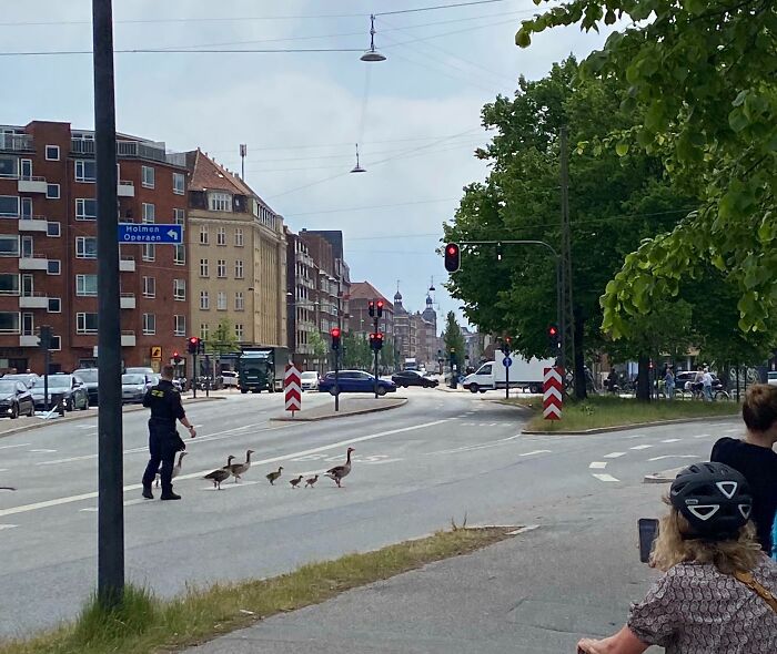 “A Danish Prison Cell”: 104 Times Denmark Proved It’s Cooler Than You Think