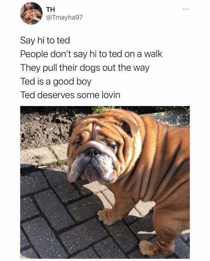 107 Ridiculously Funny British Jokes And Memes That Hit Harder Than Rent Prices In London