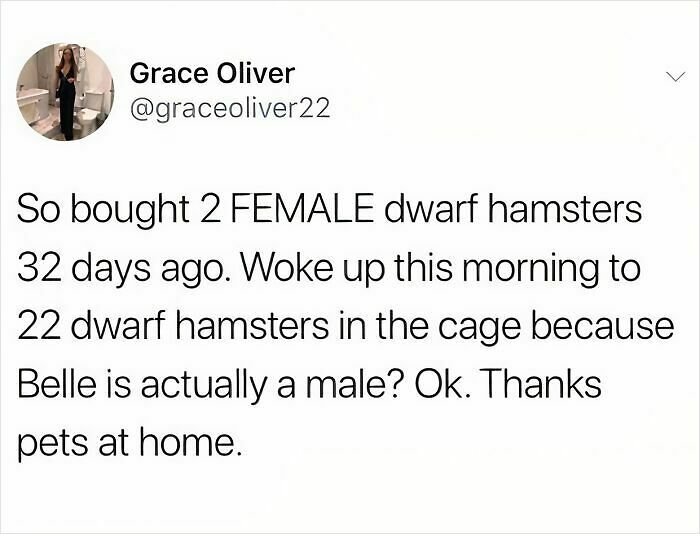 107 Ridiculously Funny British Jokes And Memes That Hit Harder Than Rent Prices In London