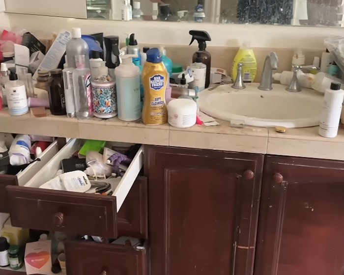 Denise Richards Rescues 15 Dogs From Estranged Husband’s &#8220;Trashed&#8221; Home Amid Bitter Divorce
