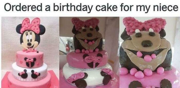 109 Times People Purchased Something Based On A Picture And Got Something Completely Different