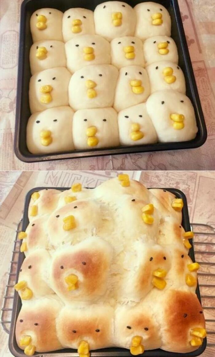 109 Times People Purchased Something Based On A Picture And Got Something Completely Different