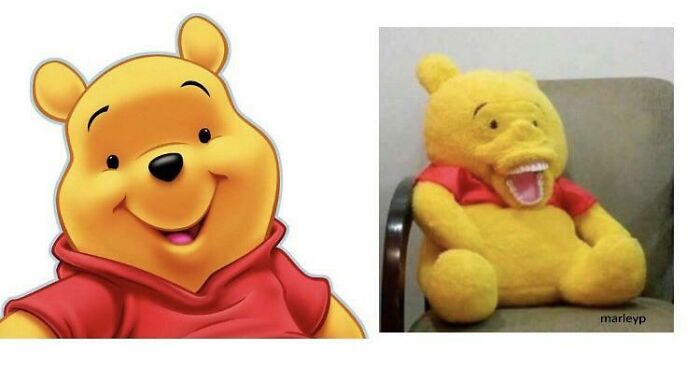 109 Times People Purchased Something Based On A Picture And Got Something Completely Different