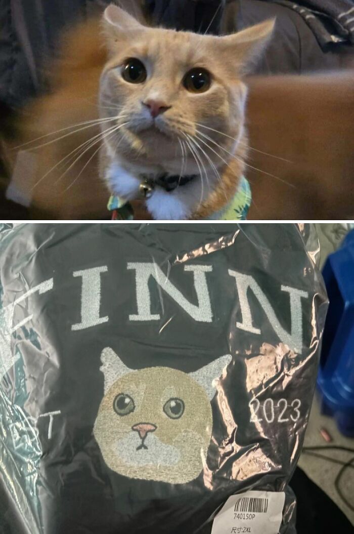 109 Times People Purchased Something Based On A Picture And Got Something Completely Different