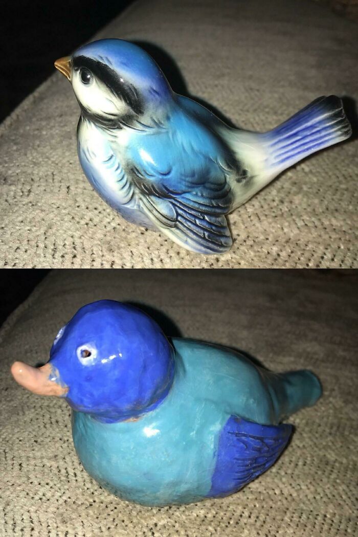 109 Times People Purchased Something Based On A Picture And Got Something Completely Different
