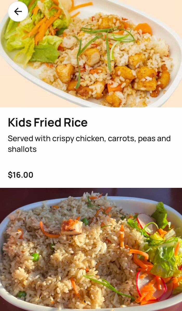109 Times People Purchased Something Based On A Picture And Got Something Completely Different