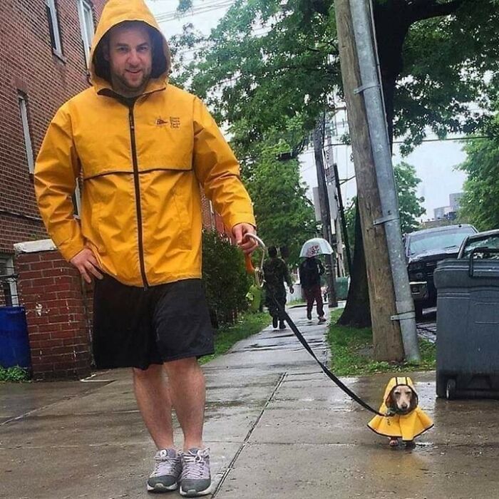 50 Of The Most Hilarious And Cute Dog-Themed ‘Important Animal Images’ To Brighten Your Day