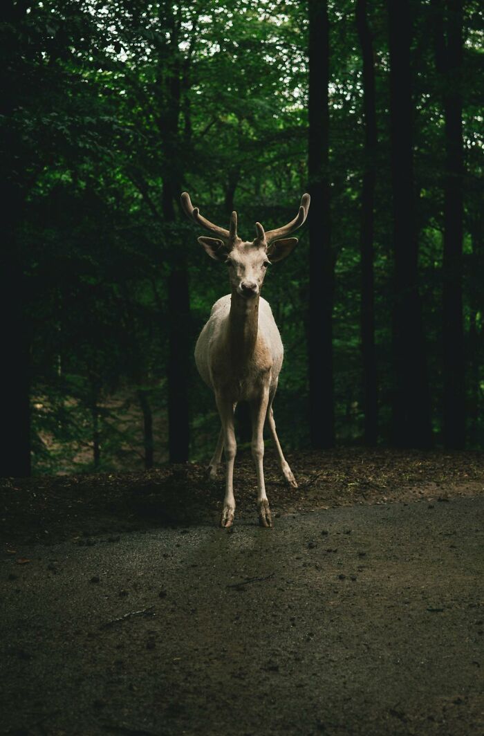 35 Creepy Stories That Are Perfect To Tell In The Dark Woods In Front Of A Camp Fire
