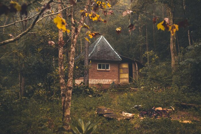 35 Creepy Stories That Are Perfect To Tell In The Dark Woods In Front Of A Camp Fire