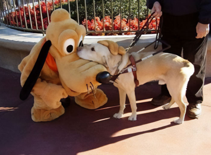 54 Of The Best Photos People Brought Home After A Trip To An Amusement Park