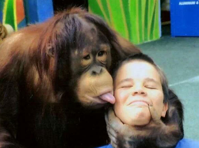 54 Of The Best Photos People Brought Home After A Trip To An Amusement Park