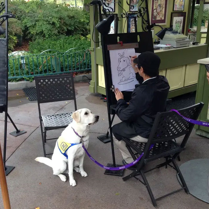54 Of The Best Photos People Brought Home After A Trip To An Amusement Park