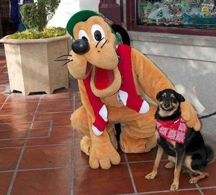 54 Of The Best Photos People Brought Home After A Trip To An Amusement Park