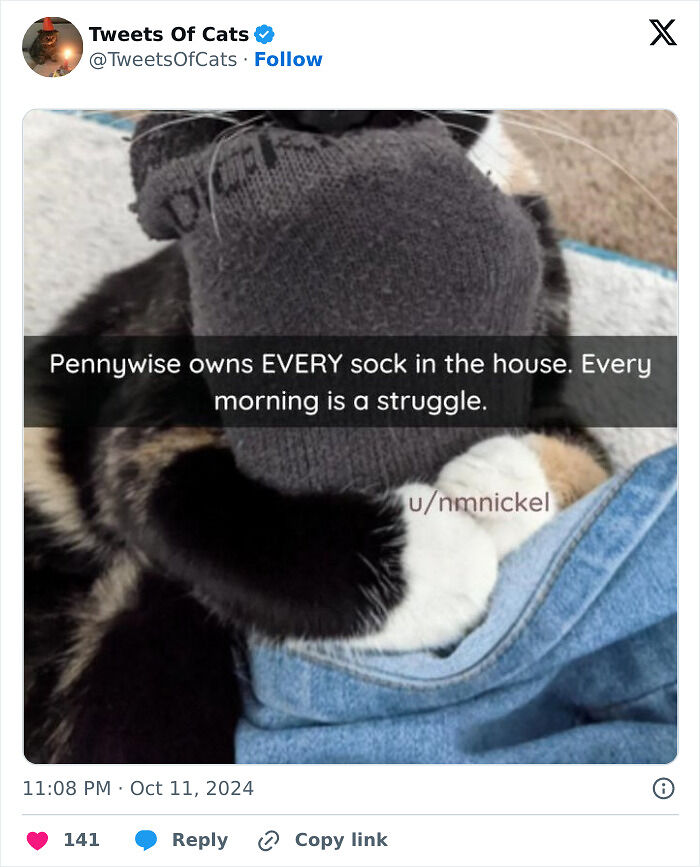 99 Quirky Cat Memes That Prove They’re Delightfully Odd Creatures